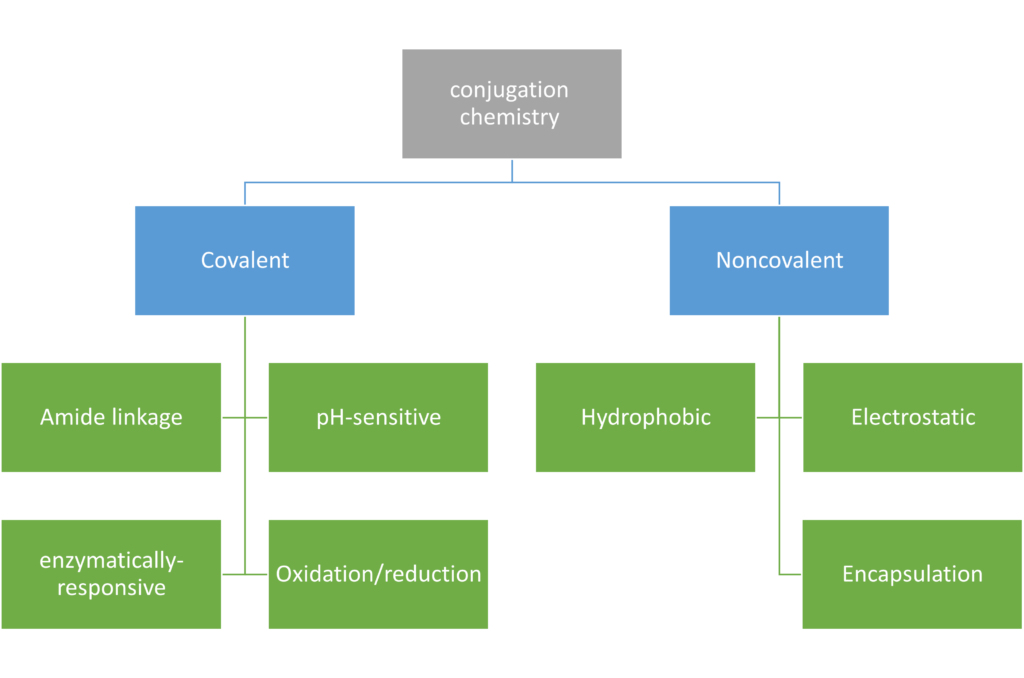 Chapter 2 - Drug Conjugation Chemistry in Iron Oxide Nanoparticles