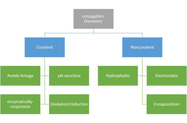 Chapter 2 - Drug Conjugation Chemistry in Iron Oxide Nanoparticles