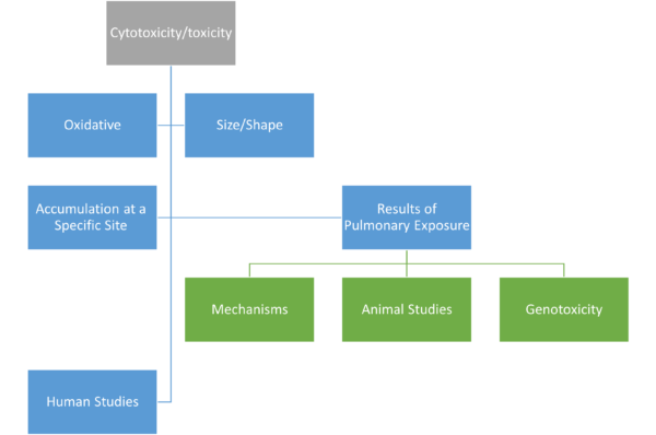 Chapter 11 - Cytotoxicity/Toxicity