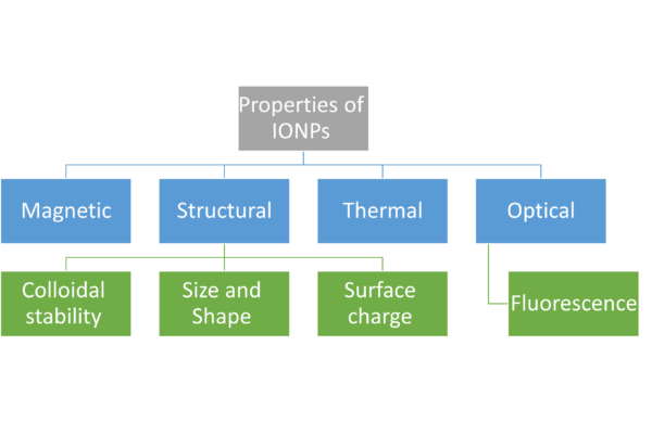 Chapter 4 - Properties of Iron Oxide Nanoparticles (IONPs)