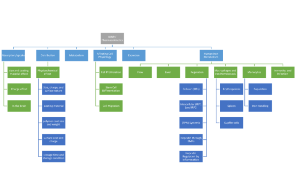 Chapter 5 - Pharmacokinetics of IONPs