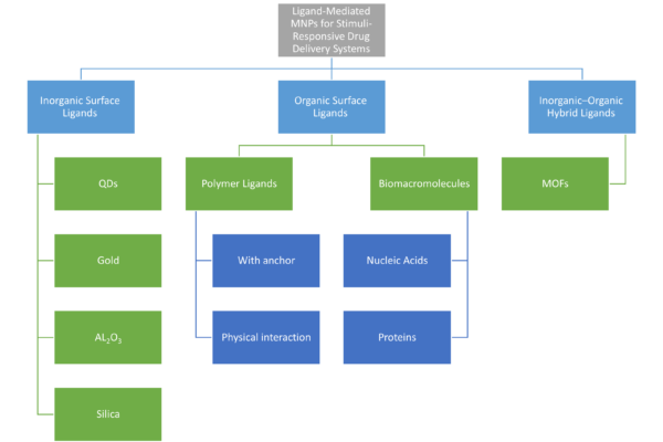 Chapter 6 - Ligand-Mediated MNPs for Stimuli-Responsive Drug Delivery Systems