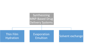 Chapter 6 - Synthesizing MNP-Based Drug Delivery Systems