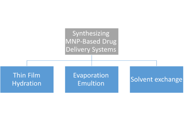 Chapter 6 - Synthesizing MNP-Based Drug Delivery Systems